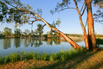 Looking back to Mildura from Buronga