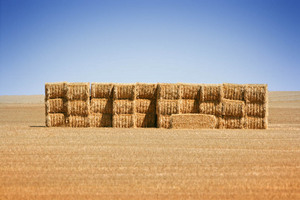 Hay stacks in the Mallee