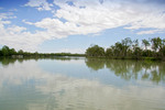Murray River at Lyrup