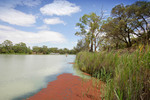 Murray River at Lyrup