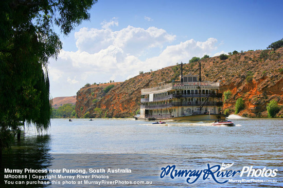 Murray Princess near Purnong, South Australia