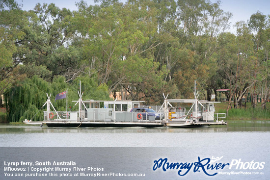 Lyrup ferry, South Australia