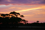 Sunrise at Carina, Mallee, Victoria