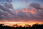 Sunrise at Carina, Mallee, Victoria