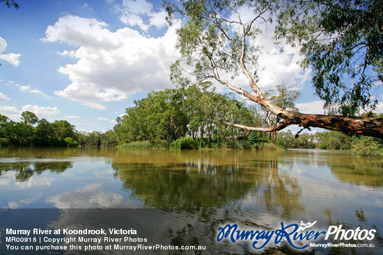 Murray River at Koondrook, Victoria