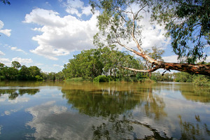 Murray River at Koondrook, Victoria