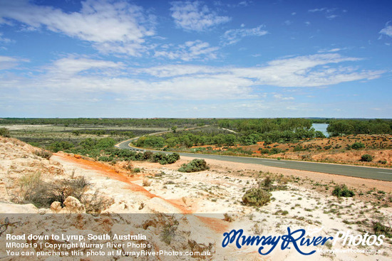 Road down to Lyrup, South Australia