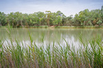 Murray River at Lyrup Flats, South Australia