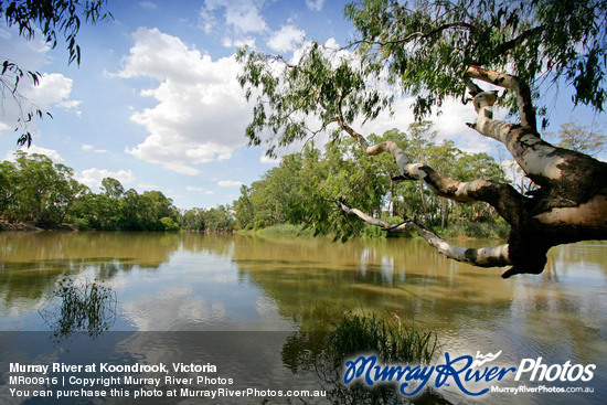 Murray River at Koondrook, Victoria