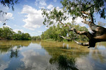 Murray River at Koondrook, Victoria