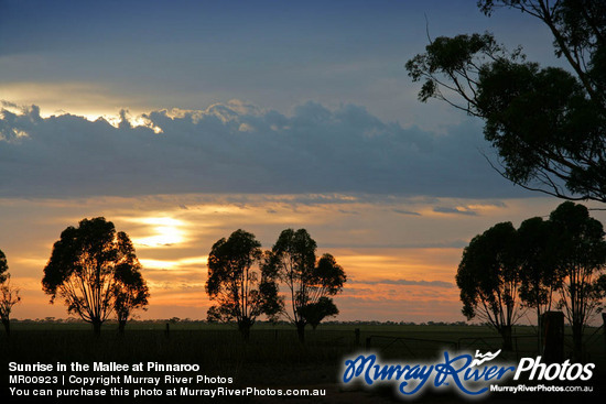 Sunrise in the Mallee at Pinnaroo