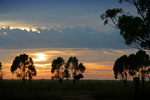 Sunrise in the Mallee at Pinnaroo
