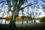 Sunrise at Tocumwal, New South Wales
