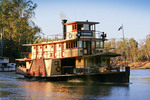 Emmy Lou at Echuca, Victoria