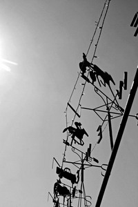 Weather vanes at Peake, South Australia