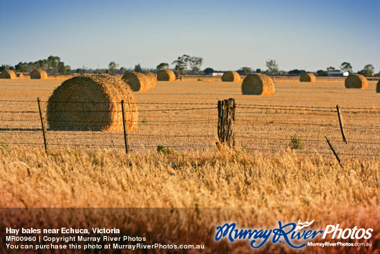 Hay bales near Echuca, Victoria