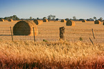 Hay bales near Echuca, Victoria