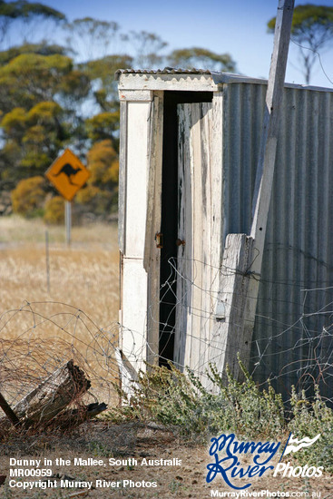 Dunny in the Mallee, South Australia