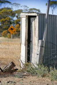 Dunny in the Mallee, South Australia