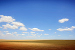 Mallee wheat fields near Pinnaroo, South Australia