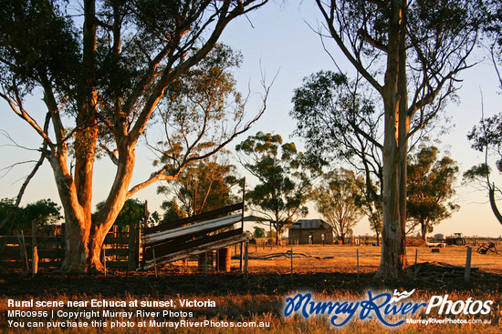 Rural scene near Echuca at sunset, Victoria