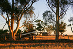 Rural scene near Echuca at sunset, Victoria