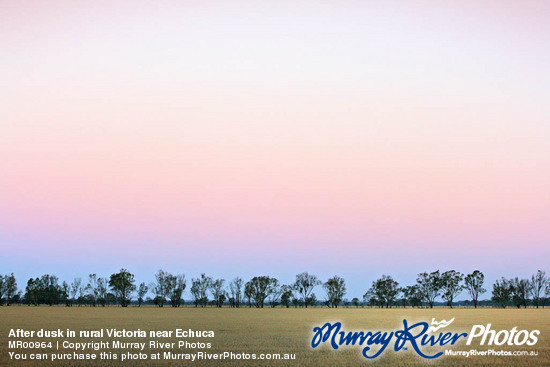 After dusk in rural Victoria near Echuca