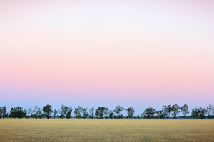 After dusk in rural Victoria near Echuca