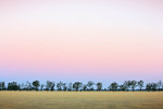 After dusk in rural Victoria near Echuca