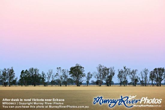 After dusk in rural Victoria near Echuca