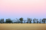 After dusk in rural Victoria near Echuca