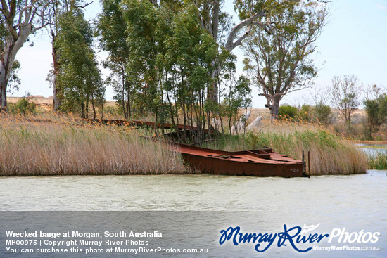 Wrecked barge at Morgan, South Australia