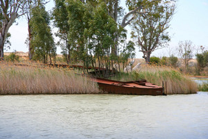 Wrecked barge at Morgan, South Australia
