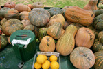 Fruit stall at Nyah, Victoria