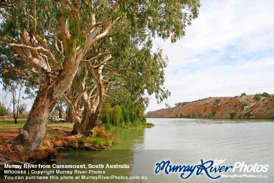 Murray River from Carnamount, South Australia