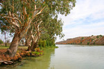 Murray River from Carnamount, South Australia