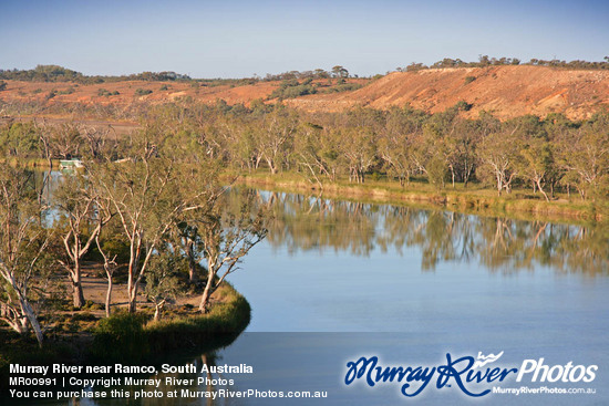 Murray River near Ramco, South Australia