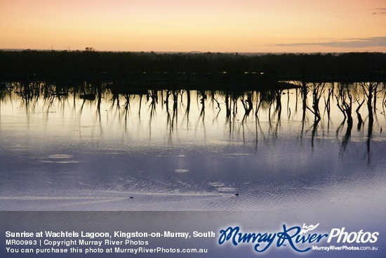 Sunrise at Wachtels Lagoon, Kingston-on-Murray, South Australia