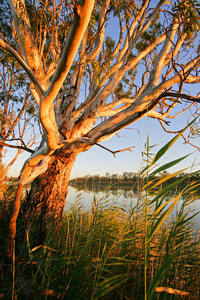 Sunrise near Waikerie, South Australia