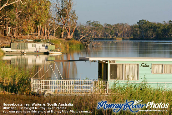 Houseboats near Waikerie, South Australia