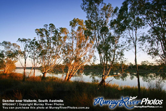 Sunrise near Waikerie, South Australia