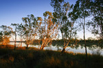 Sunrise near Waikerie, South Australia