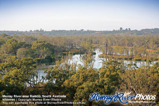 Murray River near Ramco, South Australia