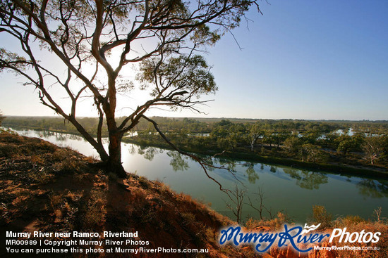 Murray River near Ramco, Riverland