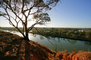Murray River near Ramco, Riverland