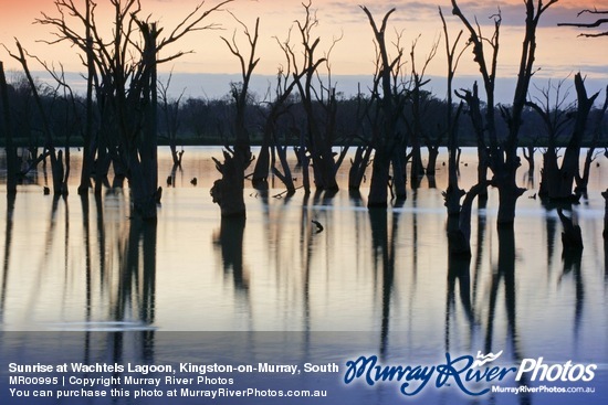 Sunrise at Wachtels Lagoon, Kingston-on-Murray, South Australia