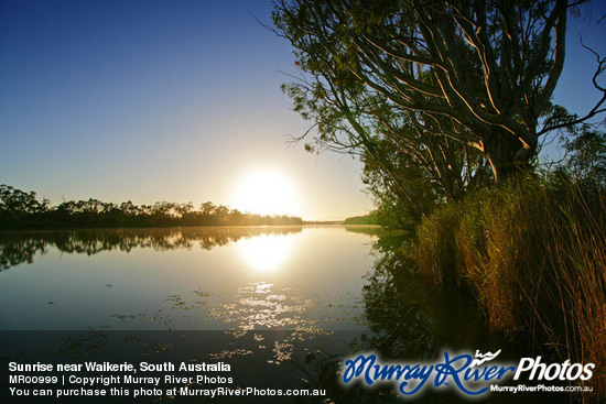 Sunrise near Waikerie, South Australia