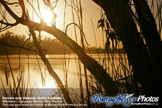 Sunrise near Waikerie, South Australia