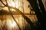 Sunrise near Waikerie, South Australia