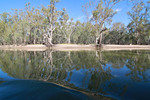 Barmah National Park, Victoria